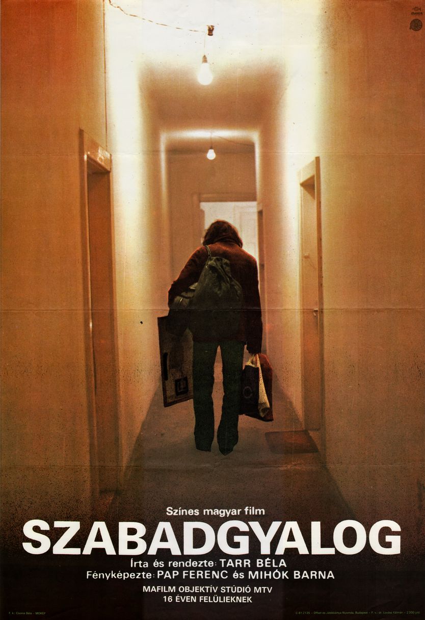 Szabadgyalog / The Outsider