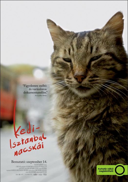 Kedi - Isztambul macskái