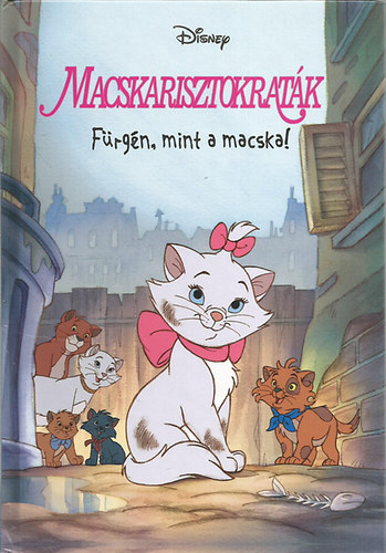 Macskarisztokraták