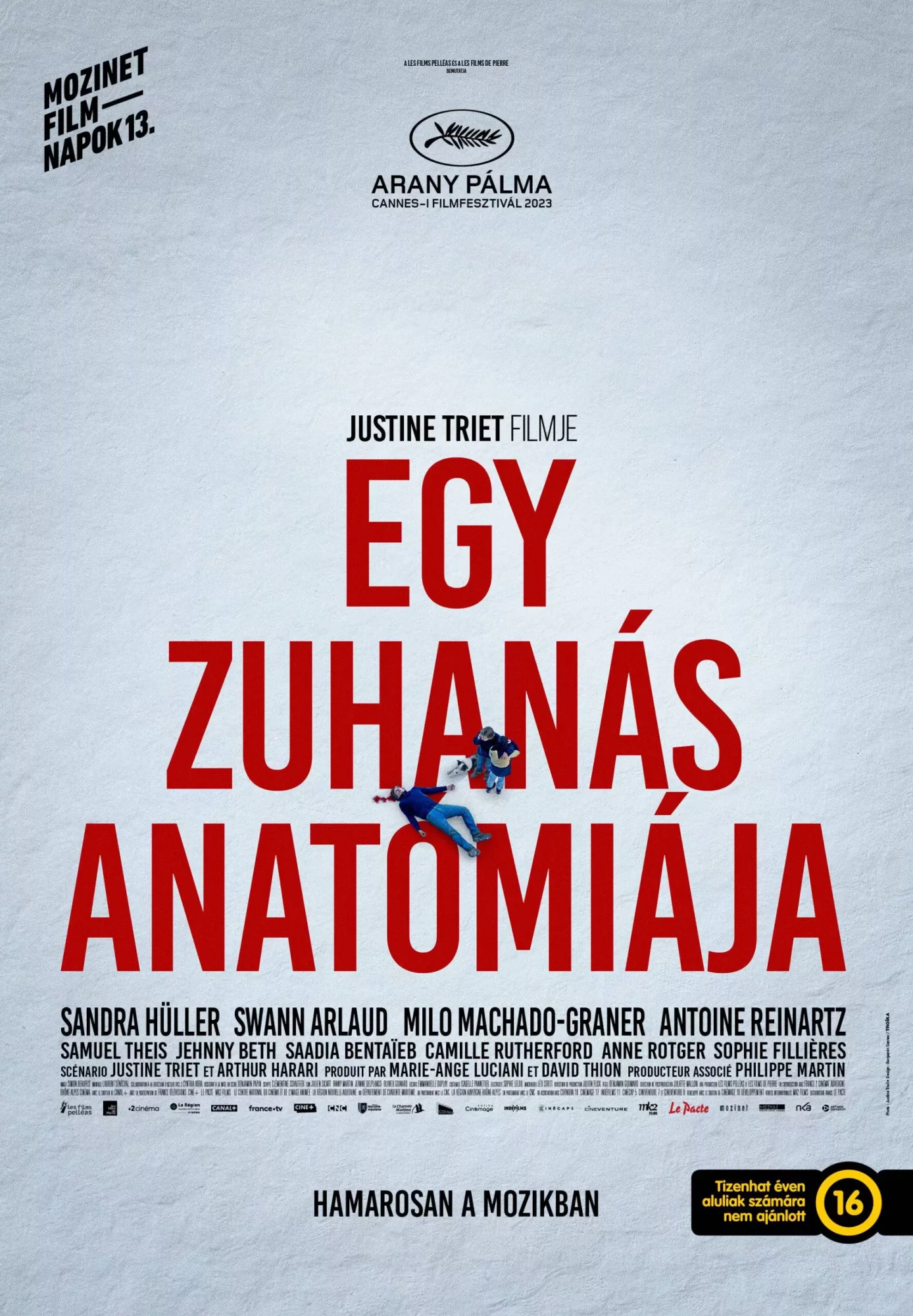 Egy zuhanás anatómiája / Anatomie d'une chute