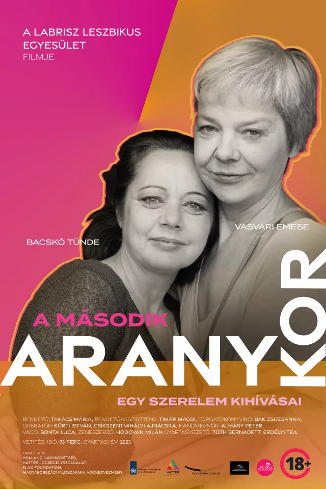 A második aranykor, egy szerelem kihívásai plakát